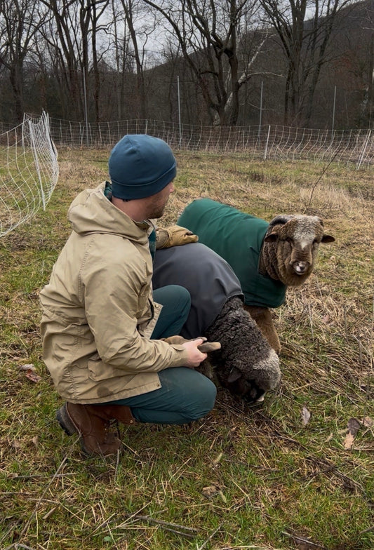 Two New Faces Joined The Farm Fam