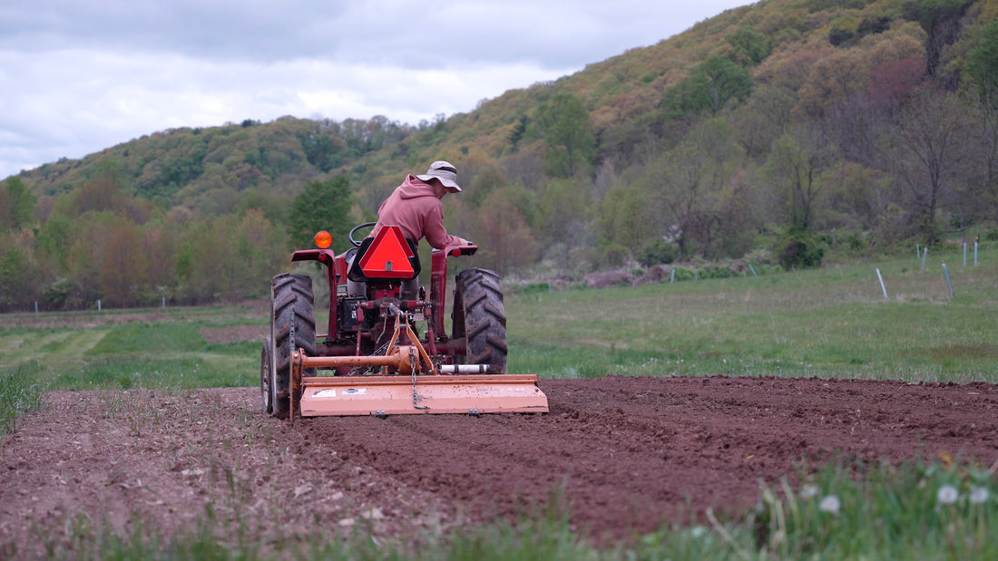 Why Most Small Vegetable Farms Don't Make a Living (and What to Do About It)