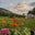 The Farm at Catawissa Creek logo