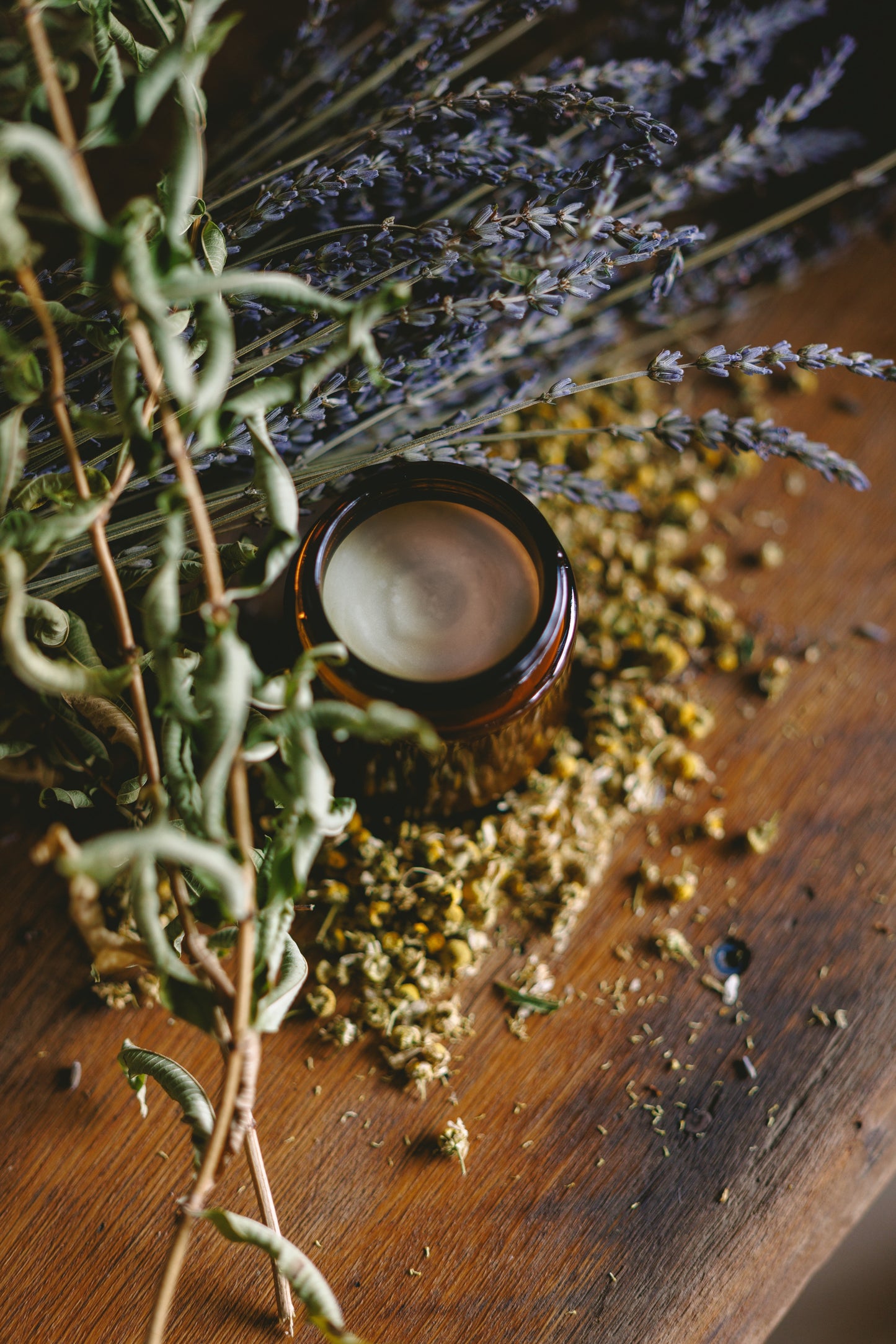 Tallow Skin Cream with Chamomile and Lavender | Evening Meadow Cream (4oz)